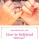 How to Befriend Stress? – Is It Possible?