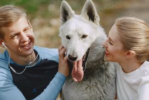 caressing-pets-can-reduce-stress