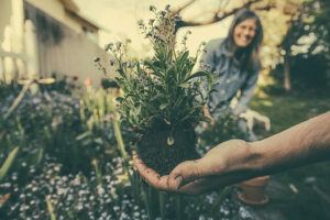 gardening-can-help-to-relieve-stress