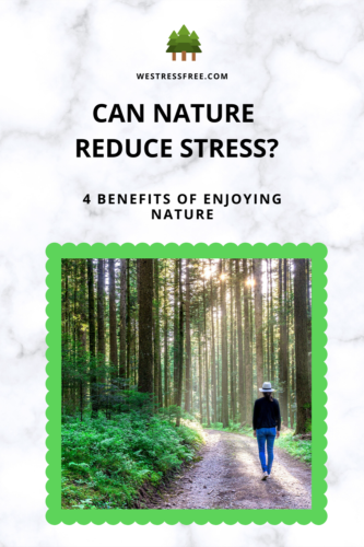 Can Nature Reduce Stress – 4 Benefits Of Enjoying Nature