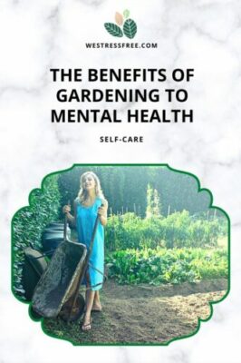 The Benefits of Gardening to Mental Health