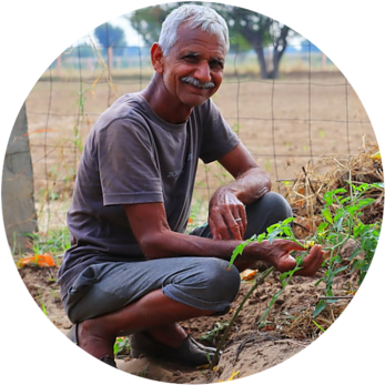 Gardening helps to sharpen your memory and maintain brain health