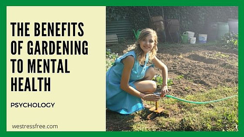 The Benefits of Gardening to Mental Health